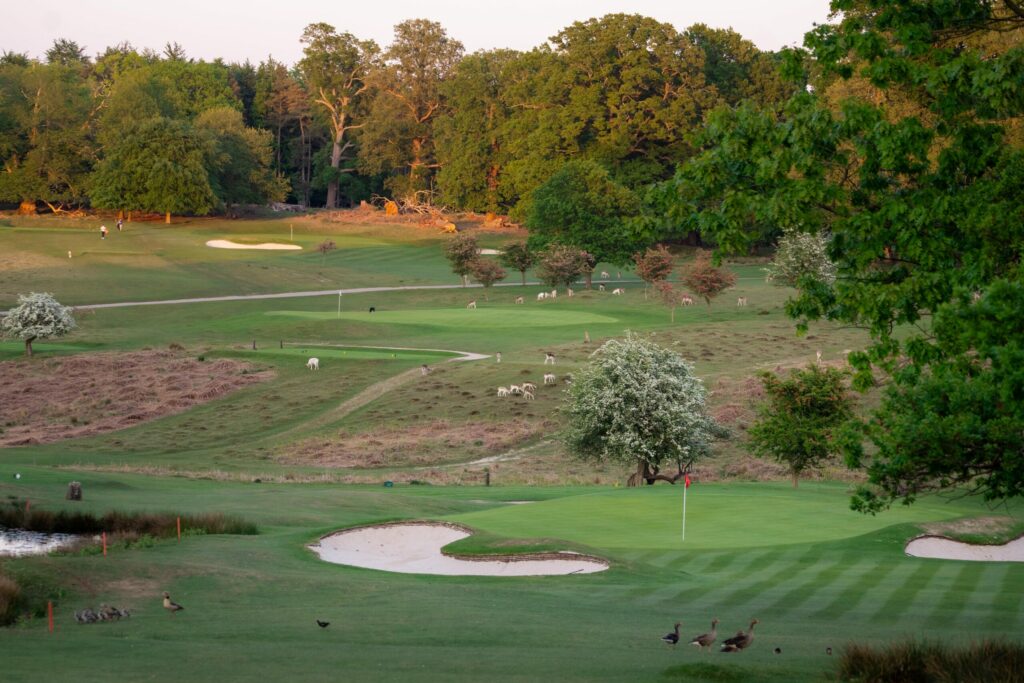 Bar Manager - Knole Park Golf Club